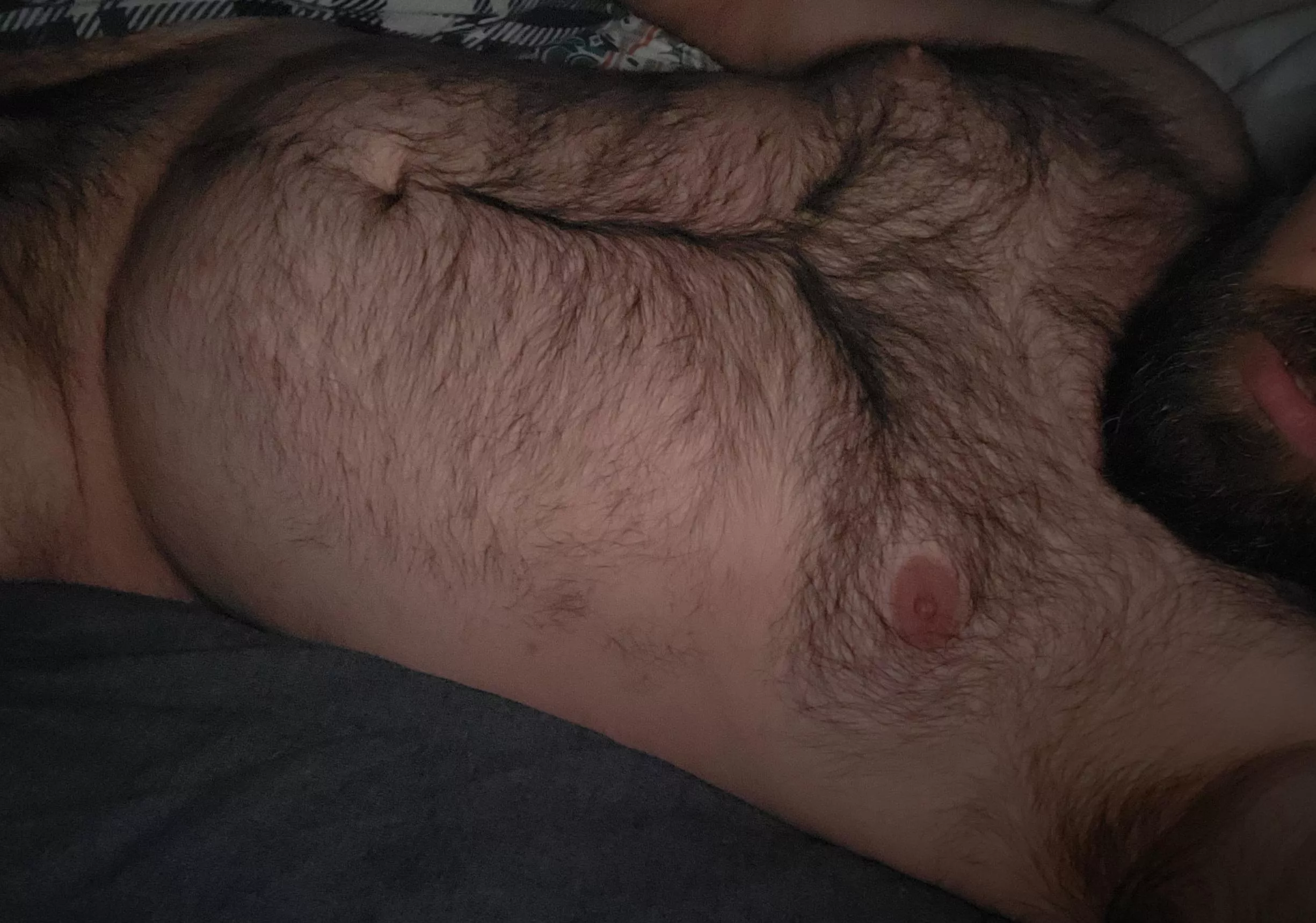 Am I a forest of fur? 