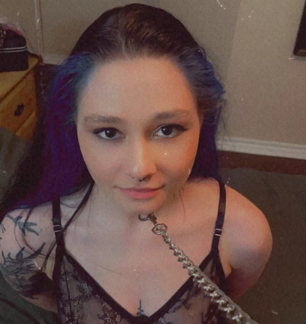 Collared Alt Cutie 🖤