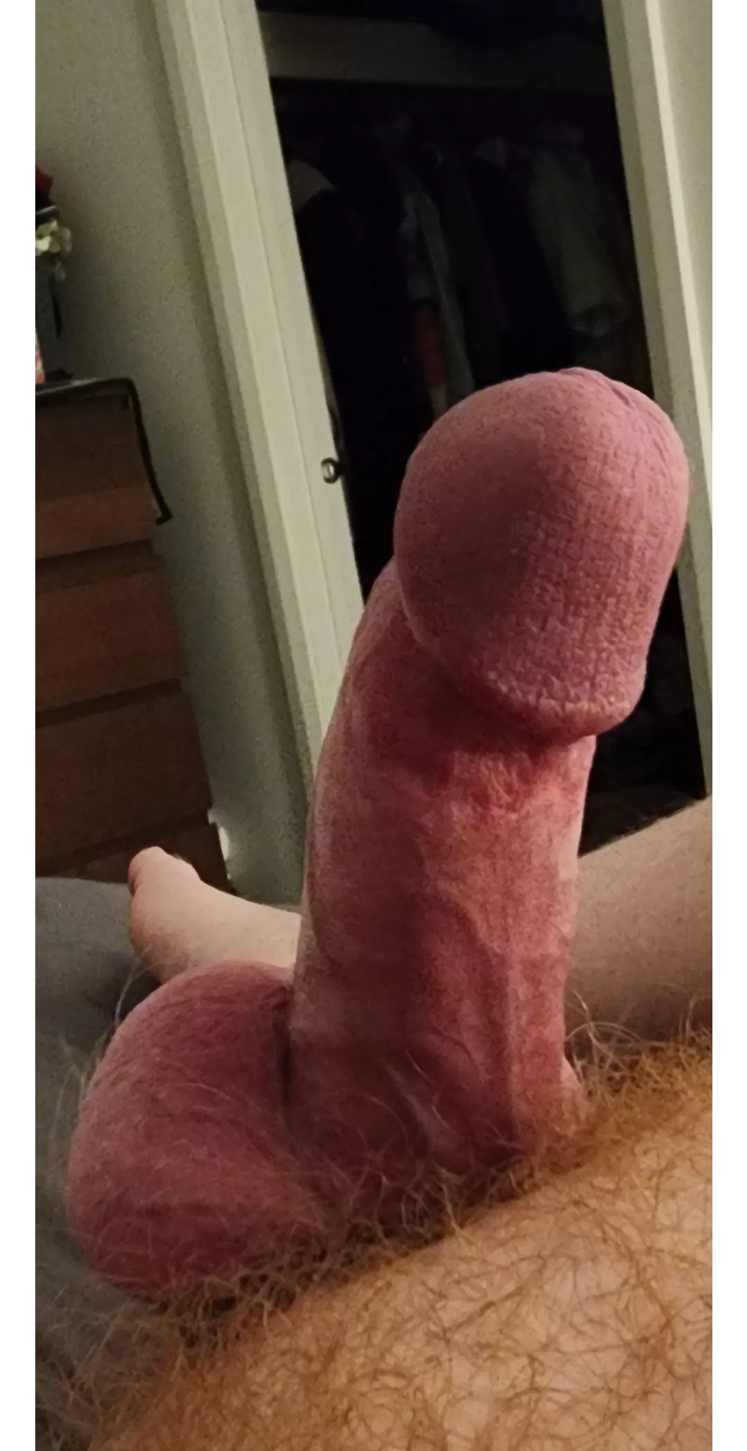Cut ginger cock