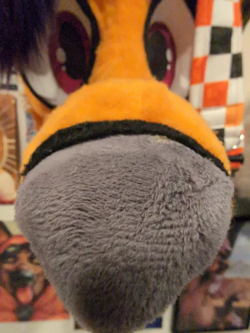 Daily fursuit posting