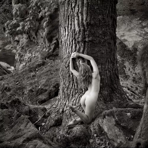 📷 David Alexander 