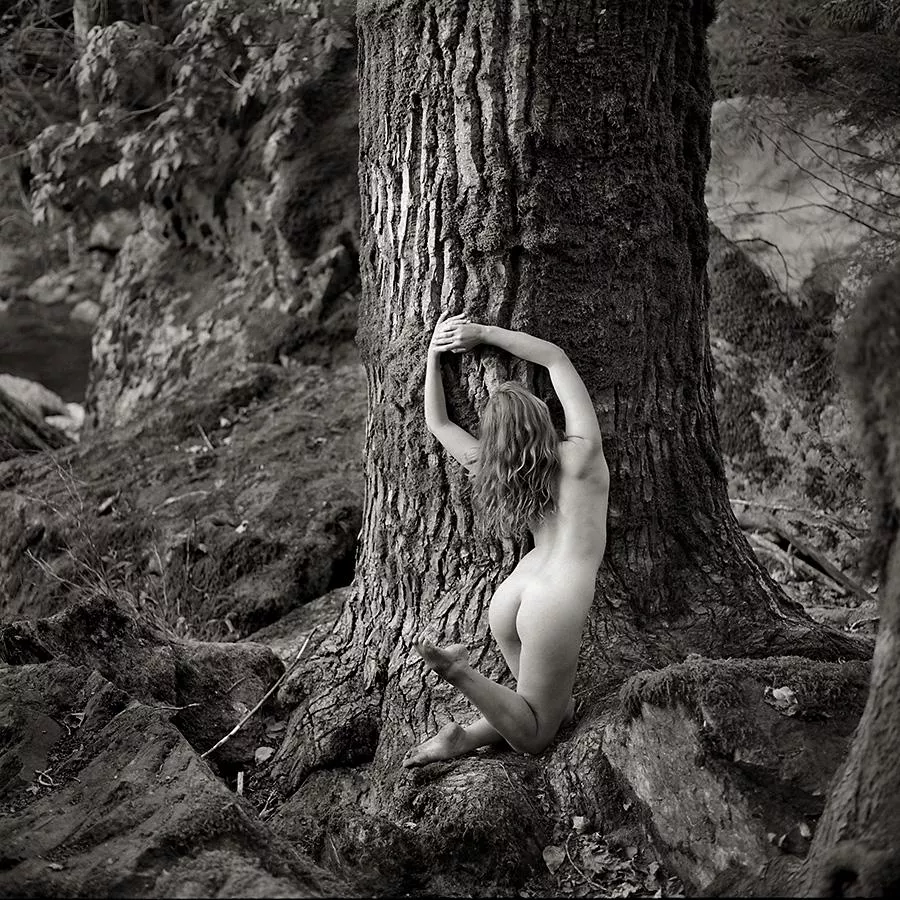 📷 David Alexander 