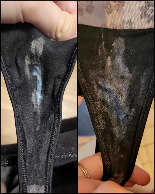 day one and two of a very cummy pair XD 