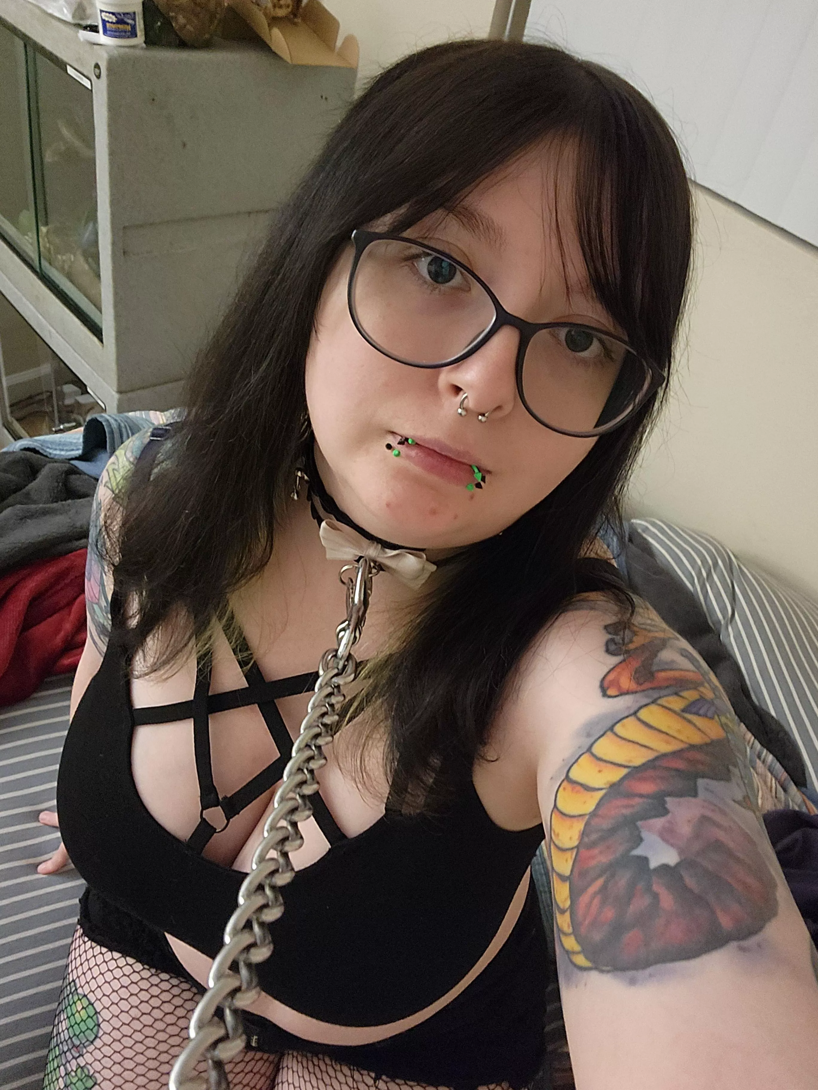 Don't pull too hard master please. 