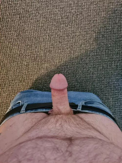 Grandpa ready to mount you [48]
