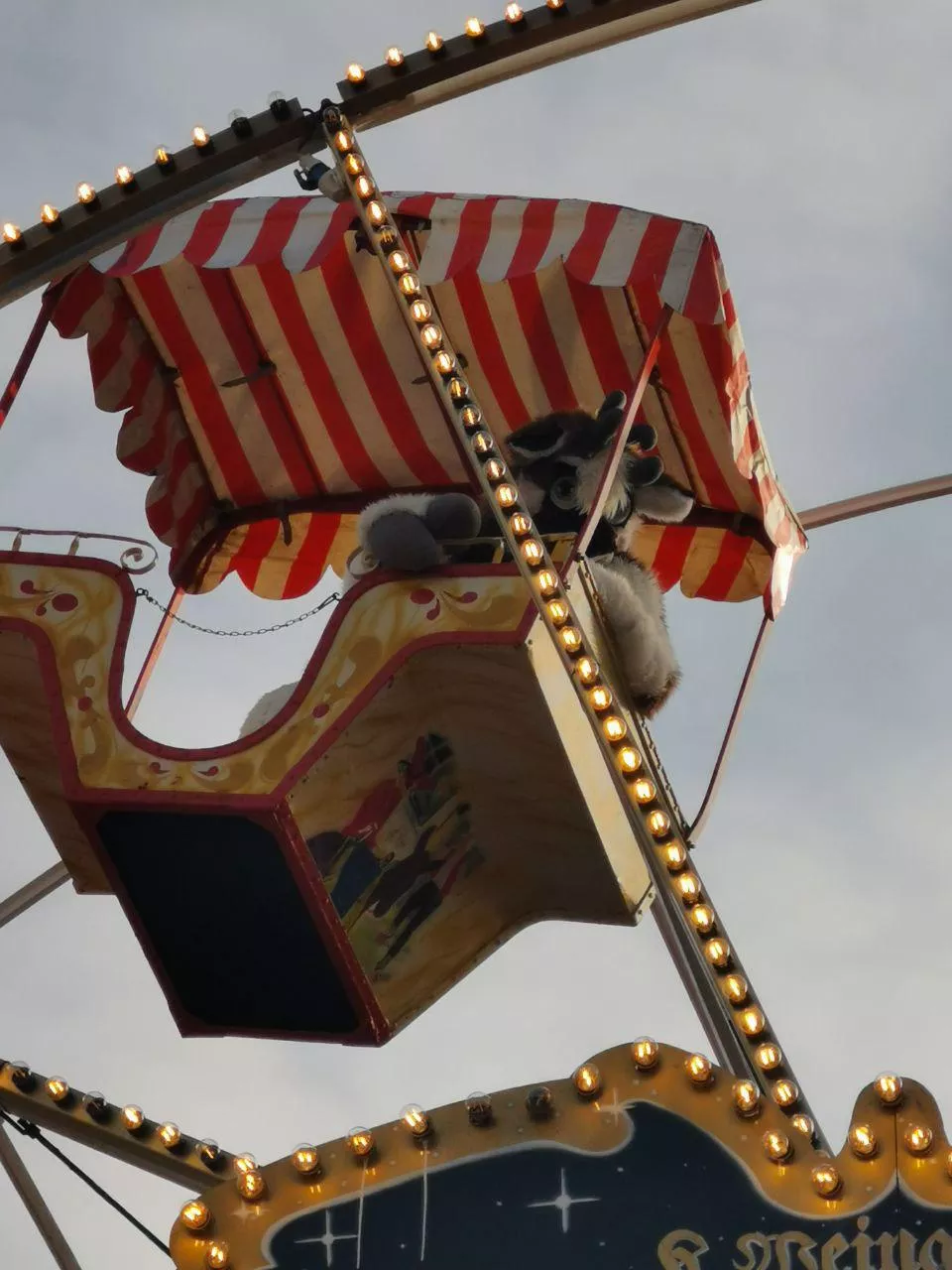 😨How did you get up there?! 