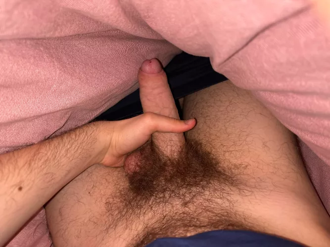 hung hairy cock