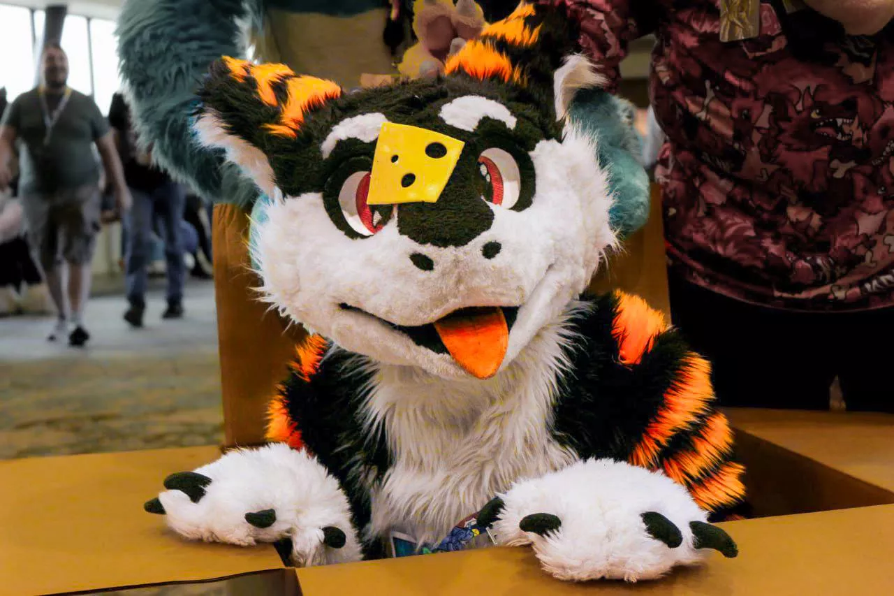 Ima box cheese! U may make one wish! :>