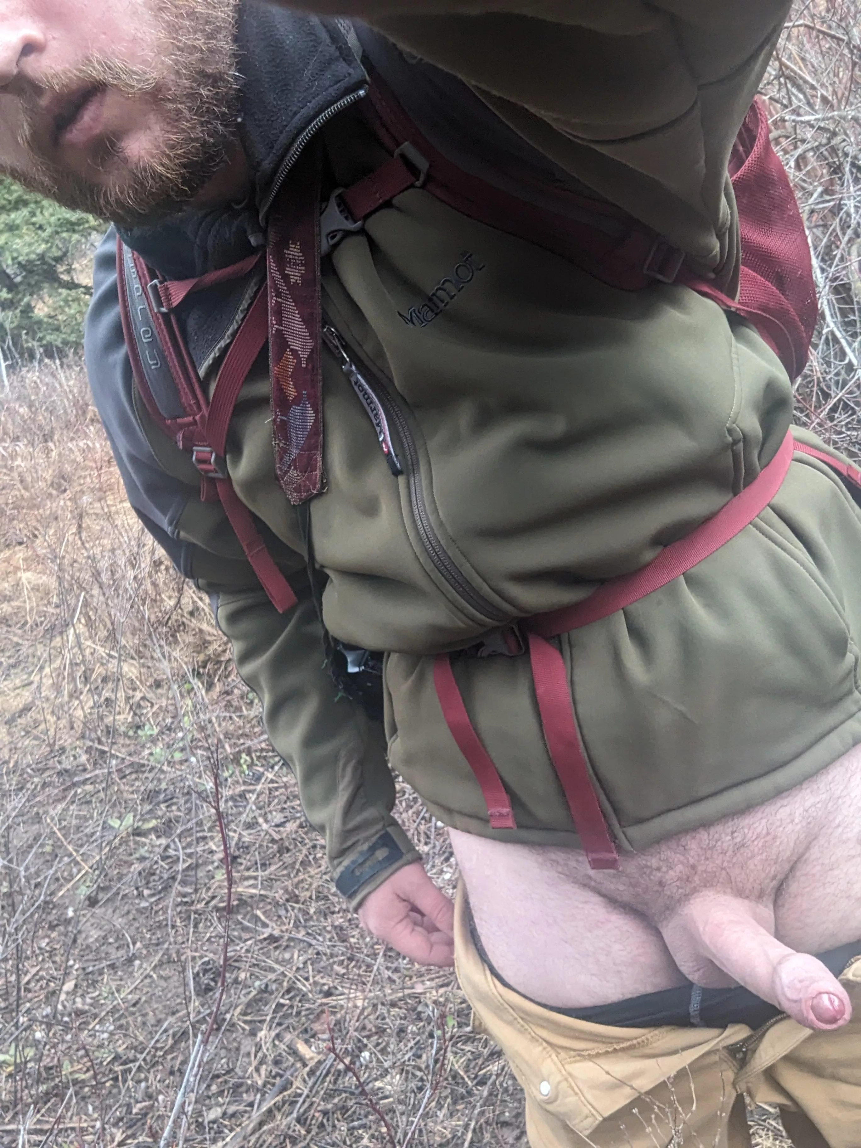 Looking for hiking partners 