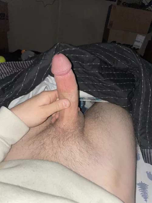 Morning wood ready to use