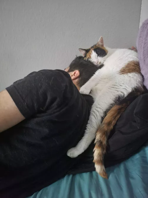 My cat comforting me after I kept losing against a boss today. 
