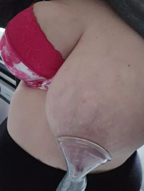 My milkshake brings all the boys to the bar.....