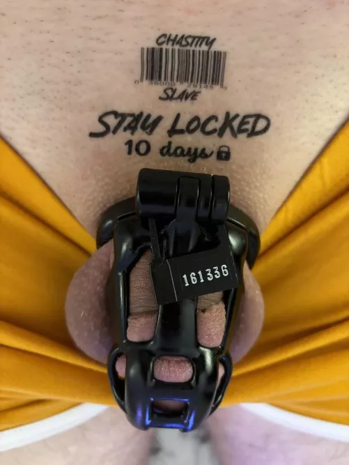 My wife says 10 days isn’t enough anymore and wants Reddits input. Reddit, Weigh In. When should I be allowed to cum again? 