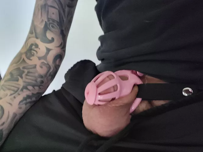 New little pink came in! Even came with a cute pussy sound! 