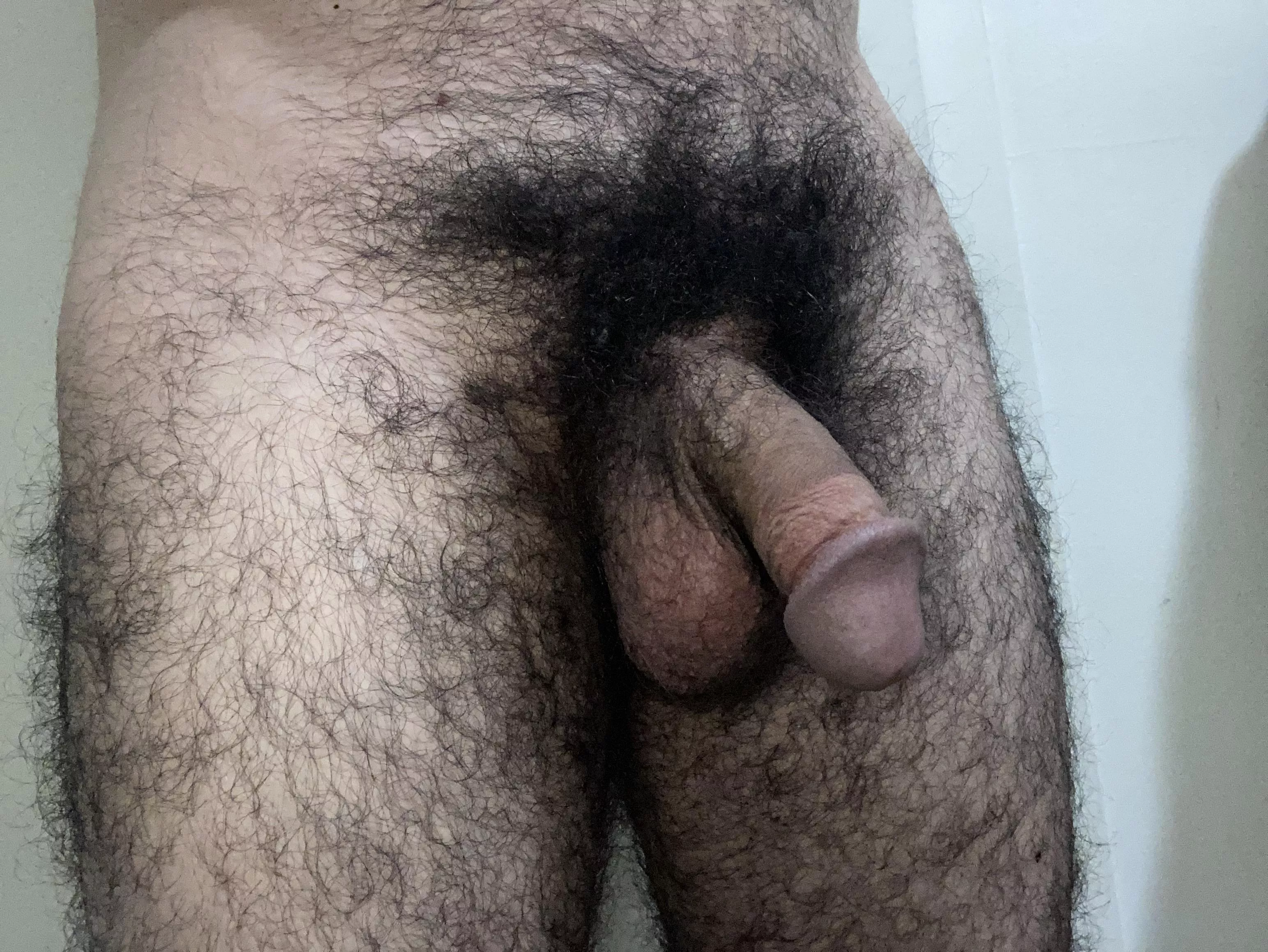 Very hairy thighs