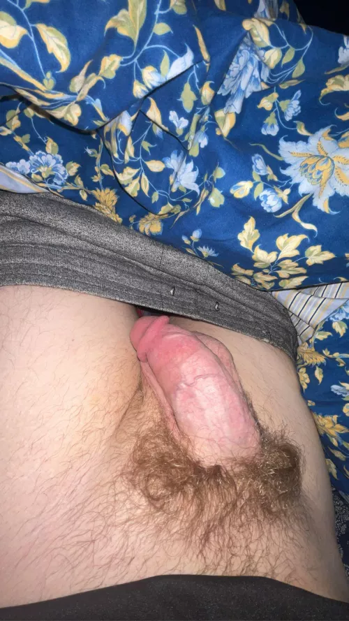 Wanna be roommates? I sleep naked most nights