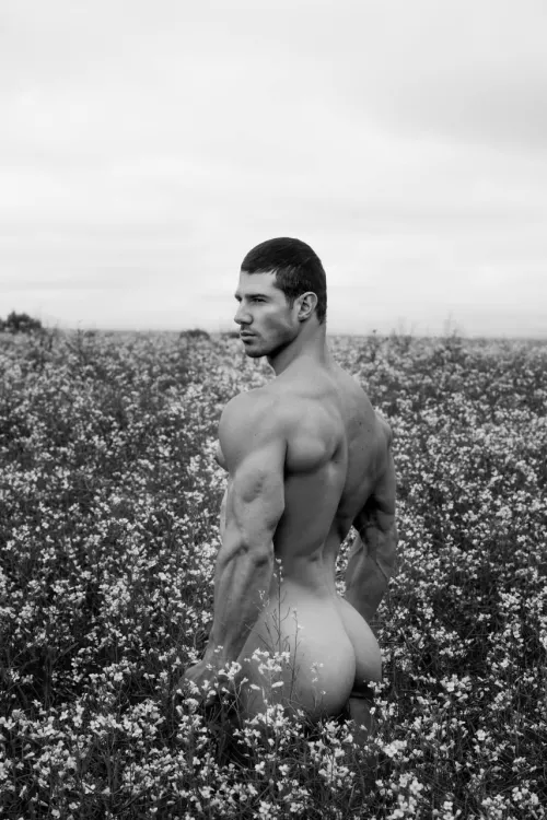 Would you like to be alone with me in an open field?