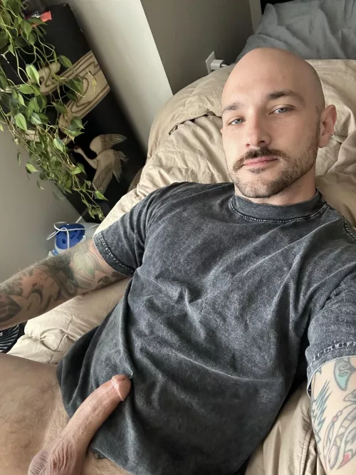 Would you suck this for dad?