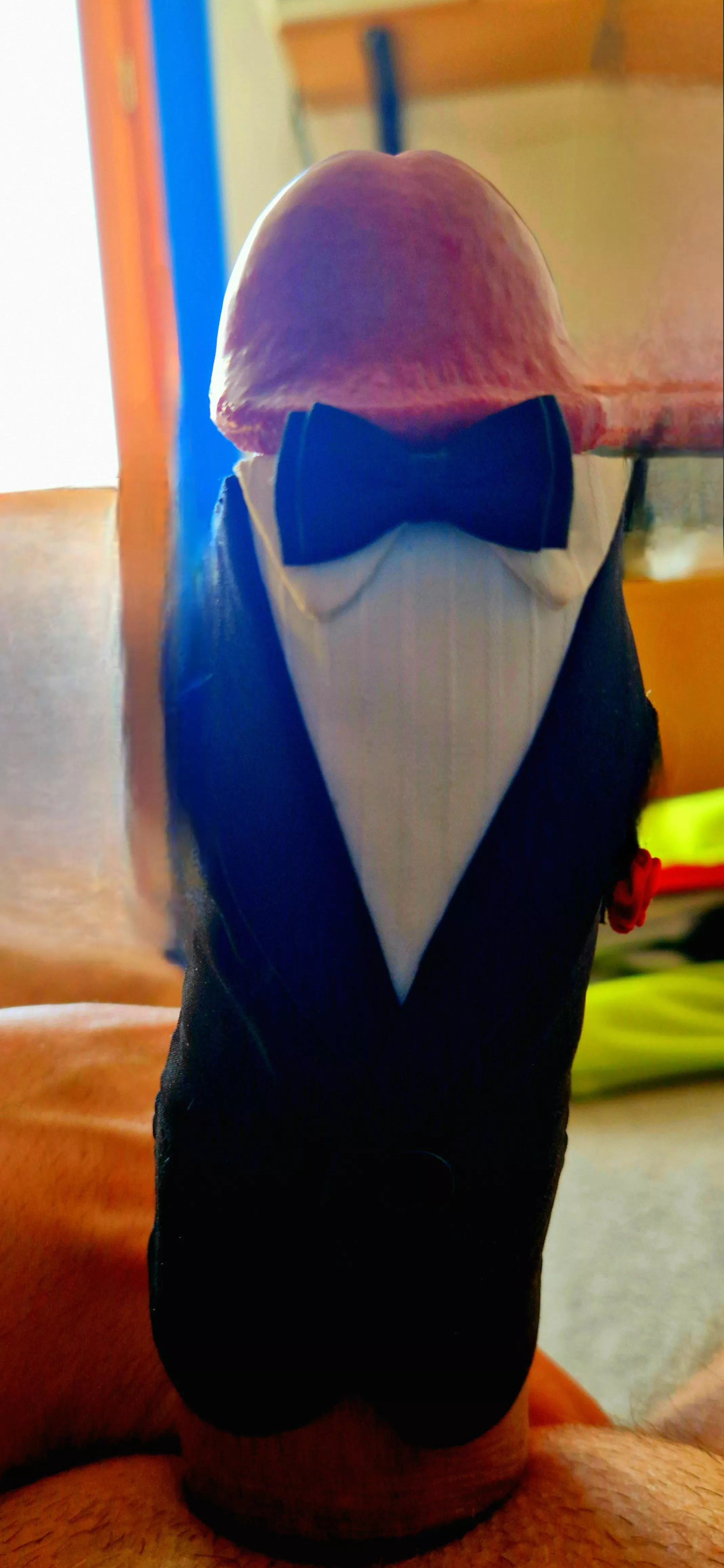 Dressed for the evening 😊