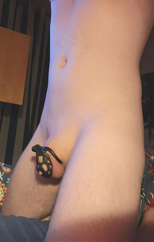 Got a new cage! Yay! Does it look good on me?