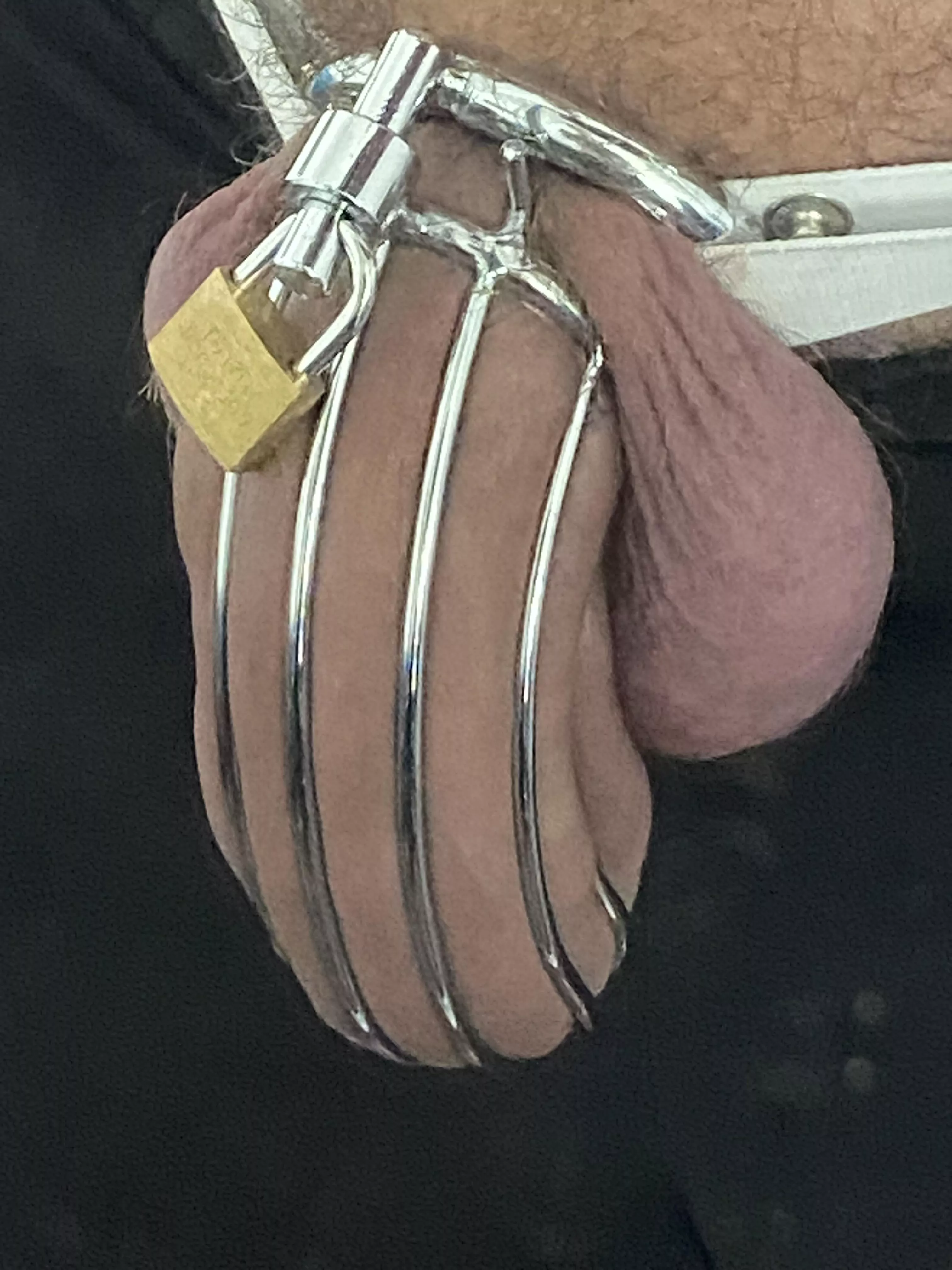 How to tell If my ring or cage is too small