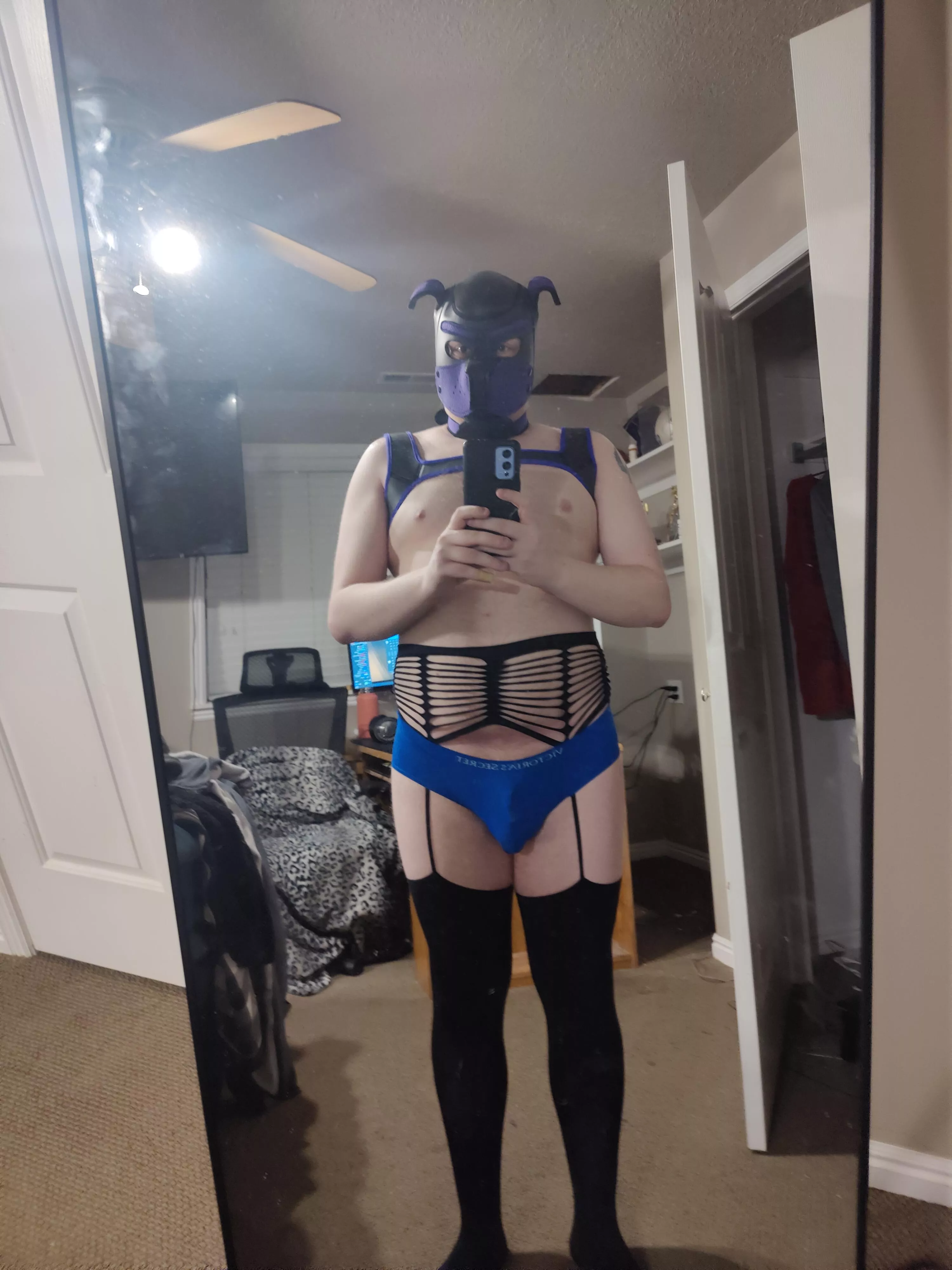 How's a 🐶 looking?