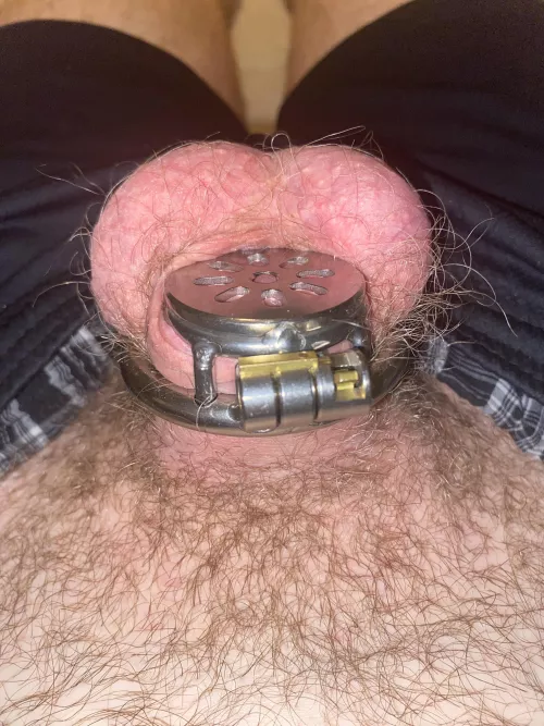 My first ever chasitity cage is a flat one. It feels so right.