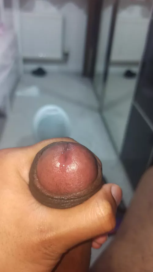 Precum on hard brown cock