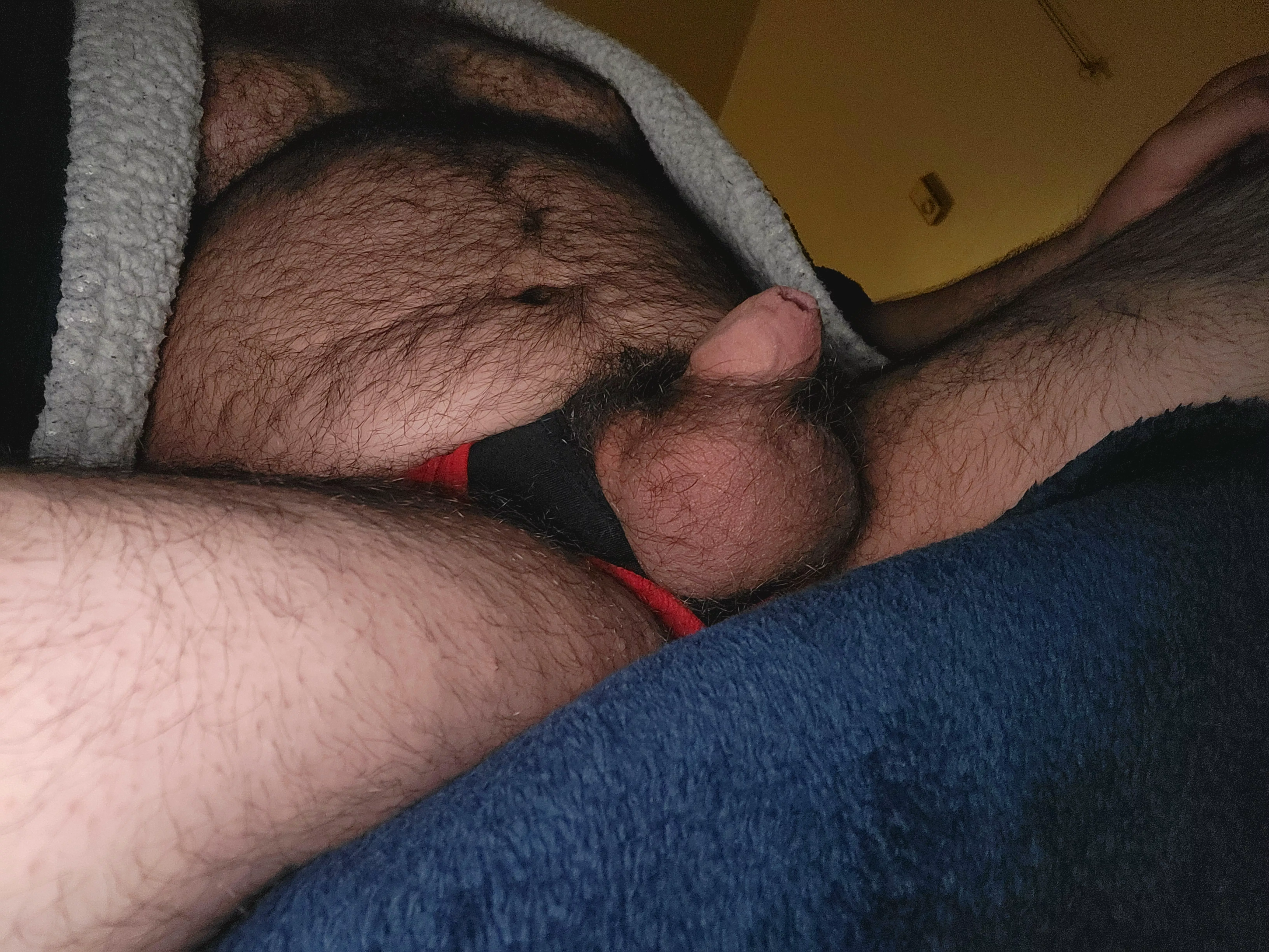Still looking for likeminded pervy bears to chat with. How's this view of my soft cock and balls? C-ring slave jock on