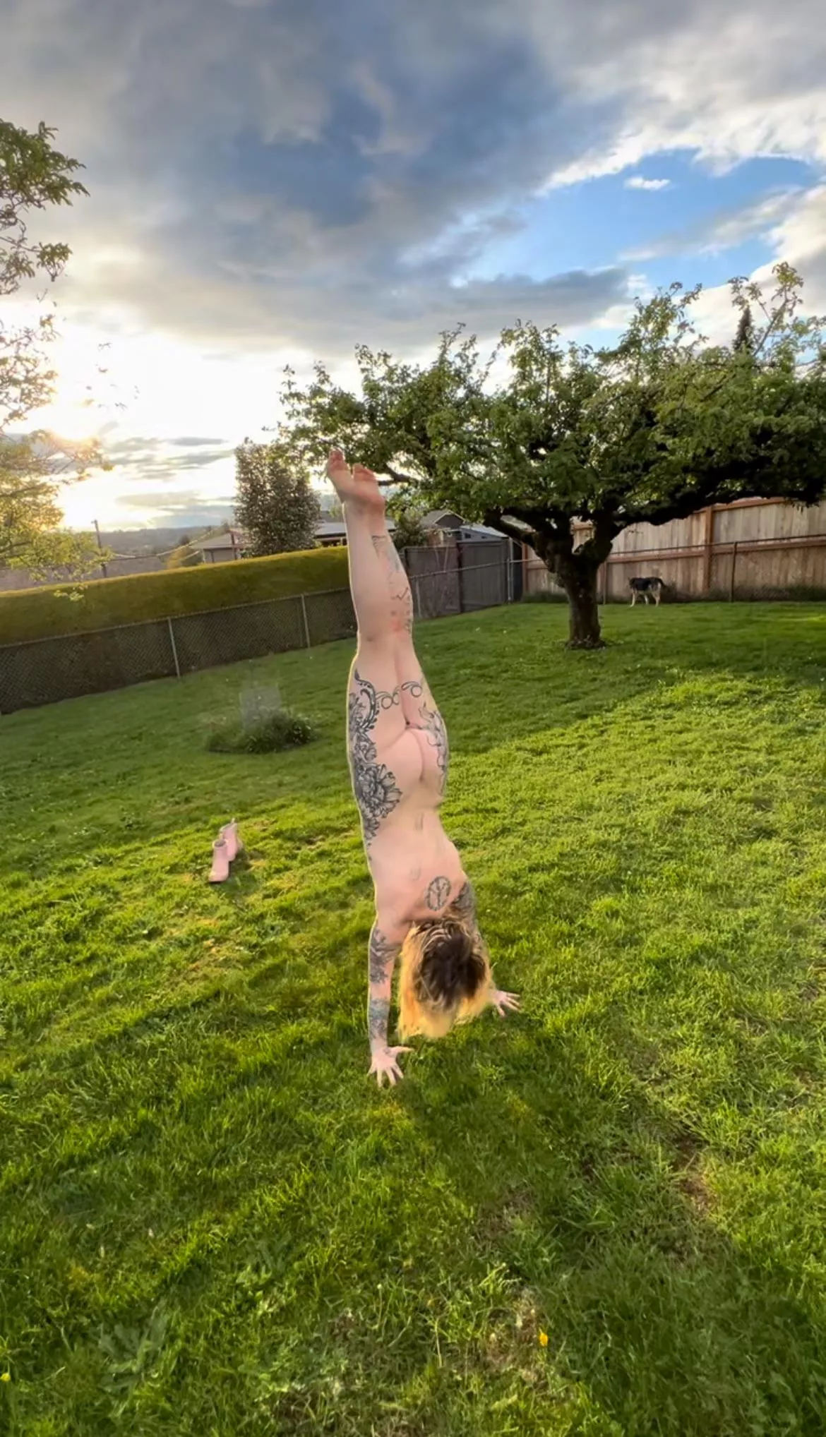 The neighbors get a show at sunset 