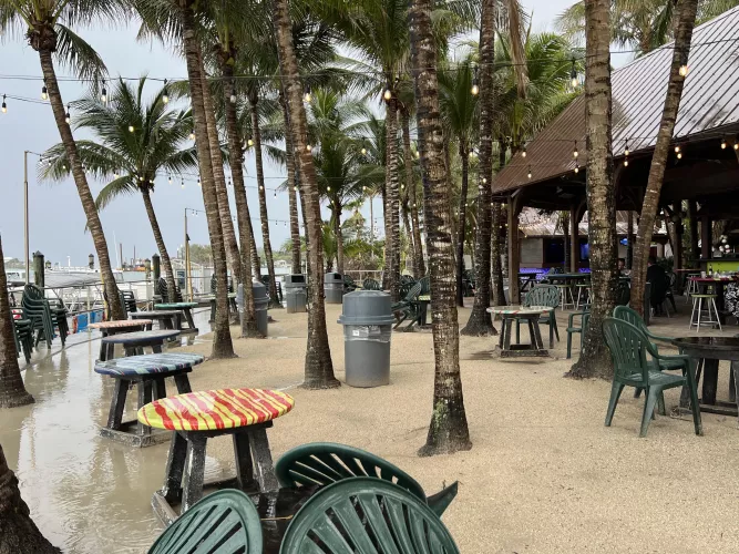 Tiki Bar Square Grouper after the rain!