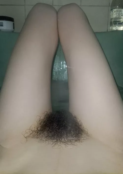 try to tame this wild bush