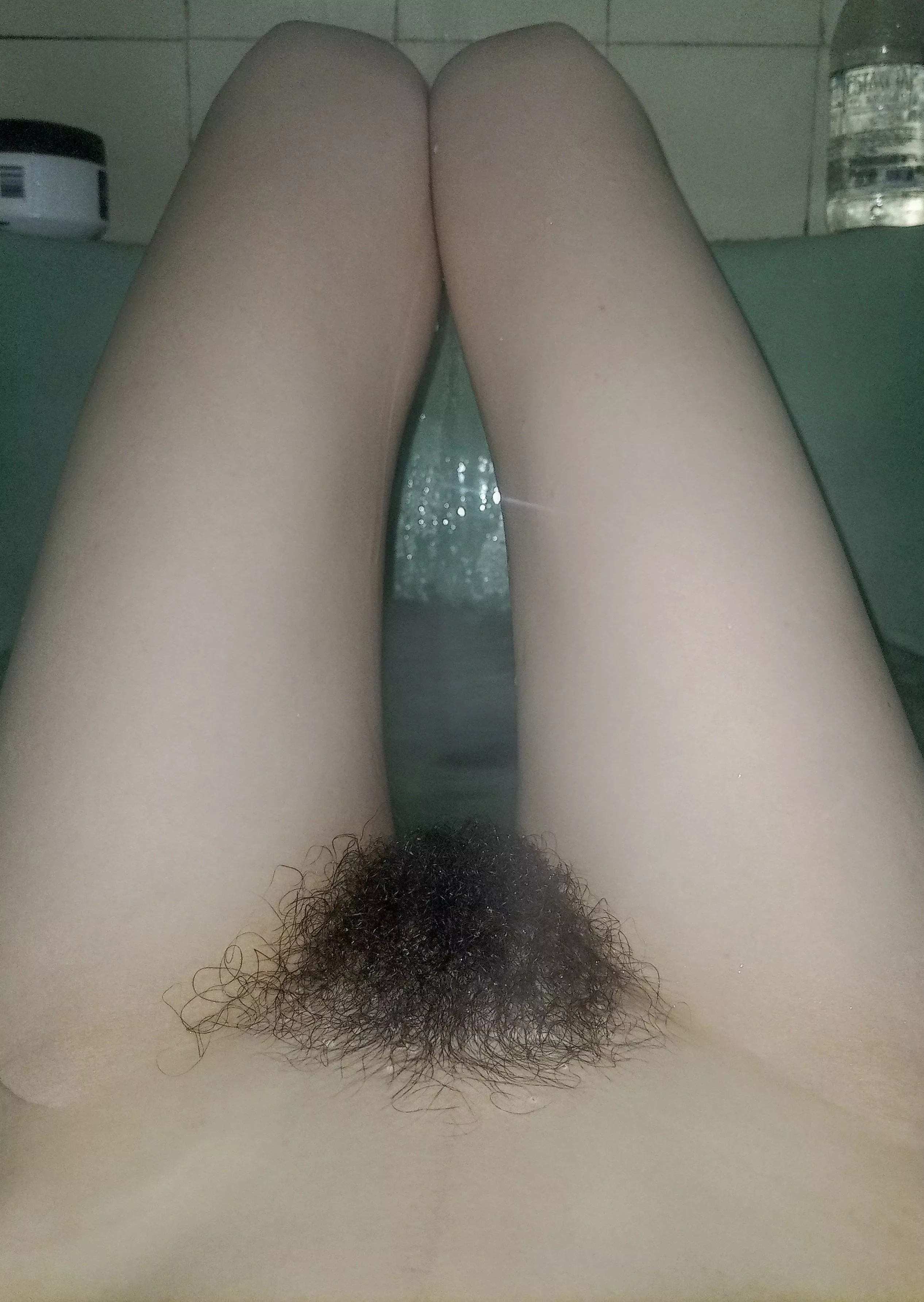 try to tame this wild bush