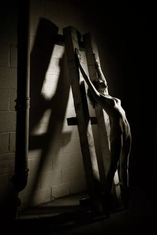 What i want to come home to