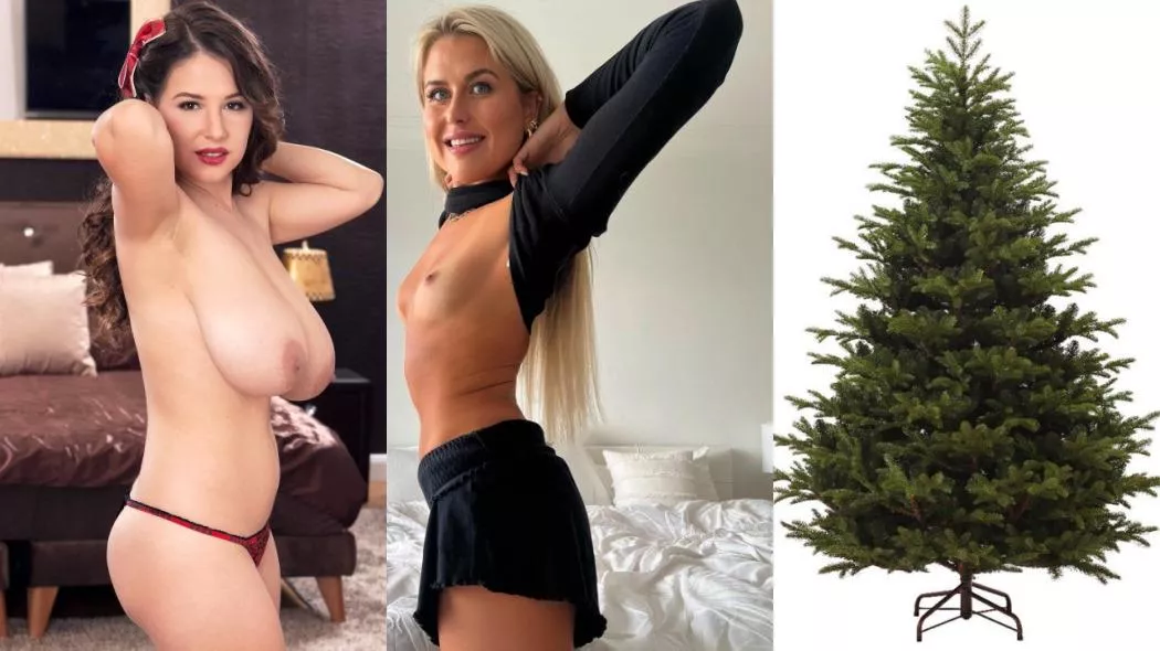 A woman with very small breasts is like a tree without the 