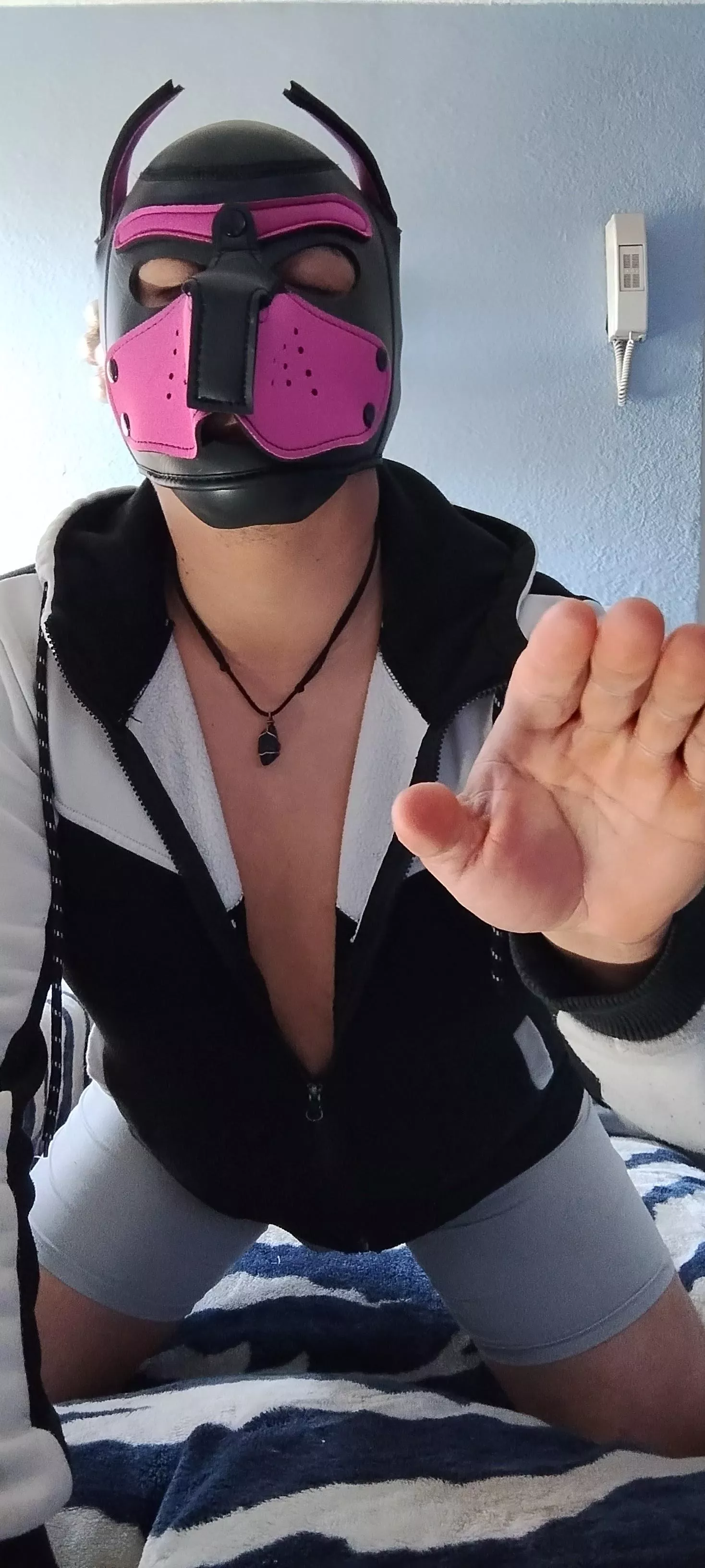 awrooooooooo! 🐾🐶 What was the color of your first pup mask? 