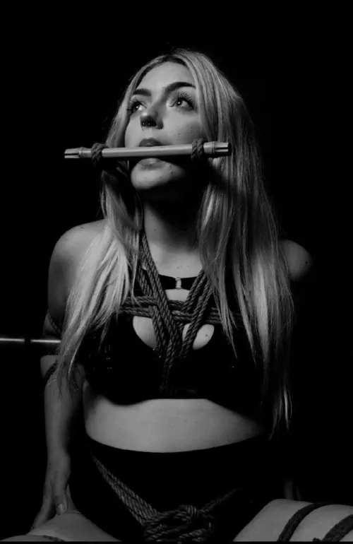 Bound to bamboo 🎍