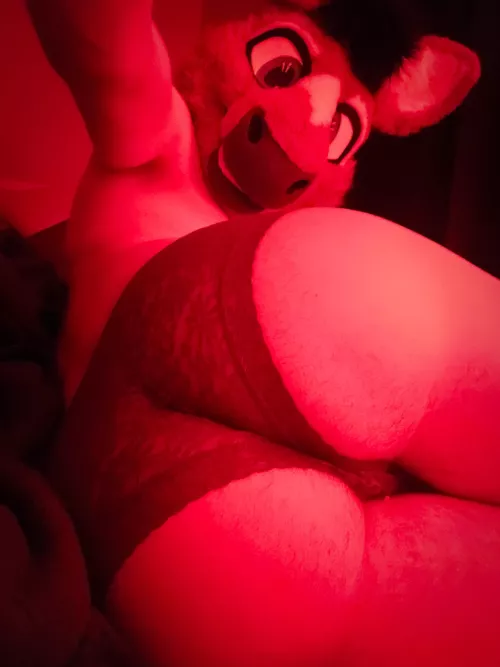 constantly in need of cuddles ;)