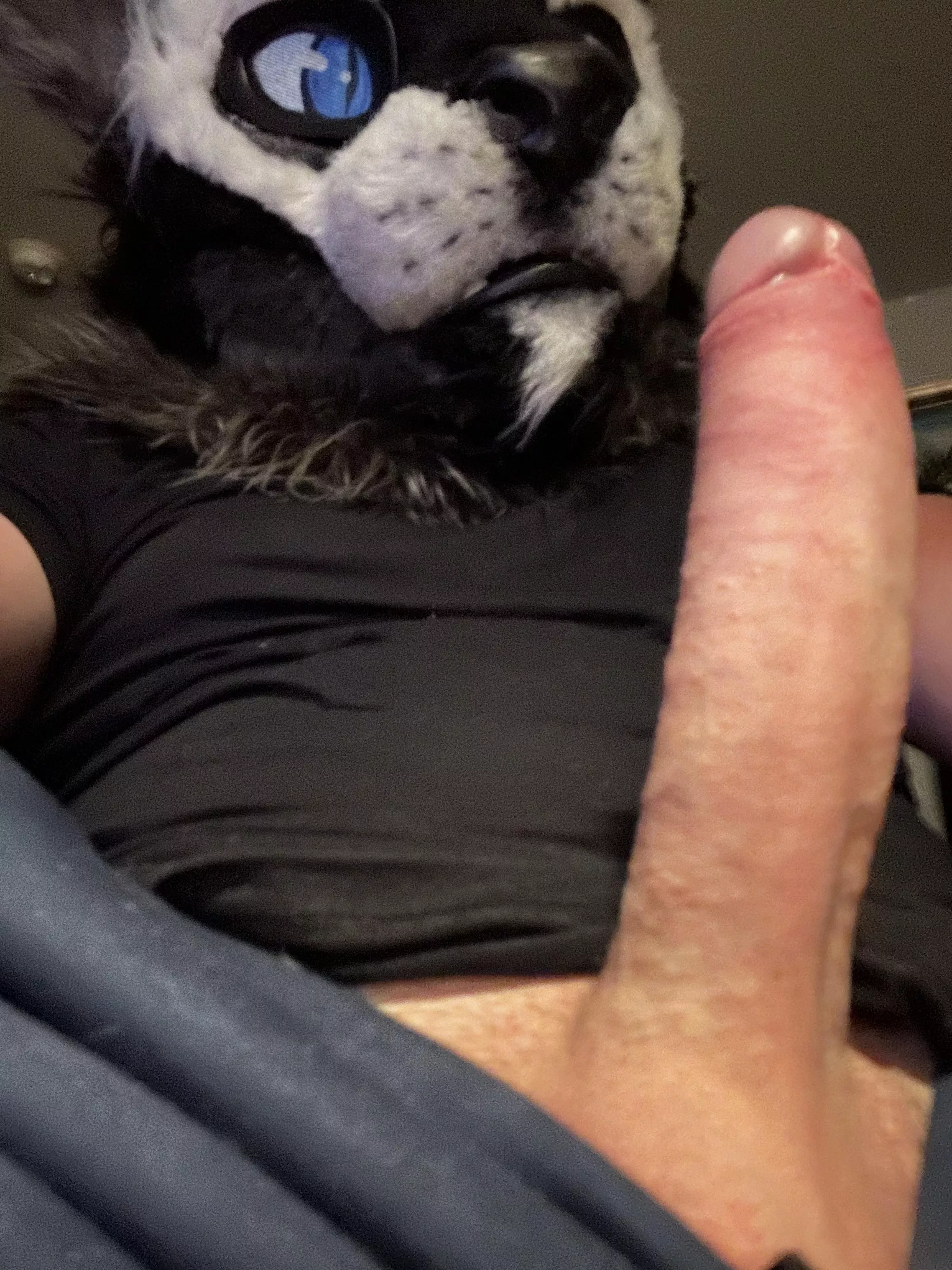 Don’t keep this kitty waiting~ [M]