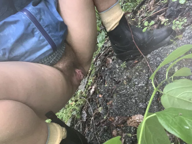 Enjoying my morning walk