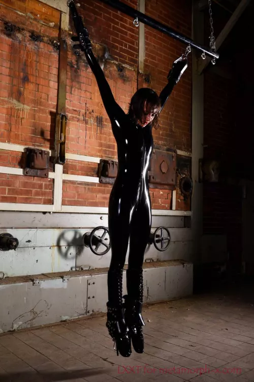 Hanging Around and Shiny