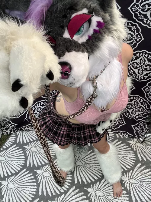 I think it’s time you used my leash ….I’m feeling a little feral tonight