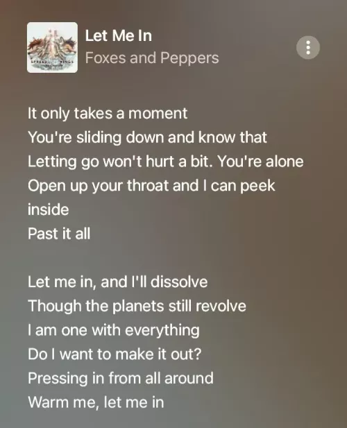{image} I've never heard anyone talk about this song. (Let Me In by Foxes and Peppers)