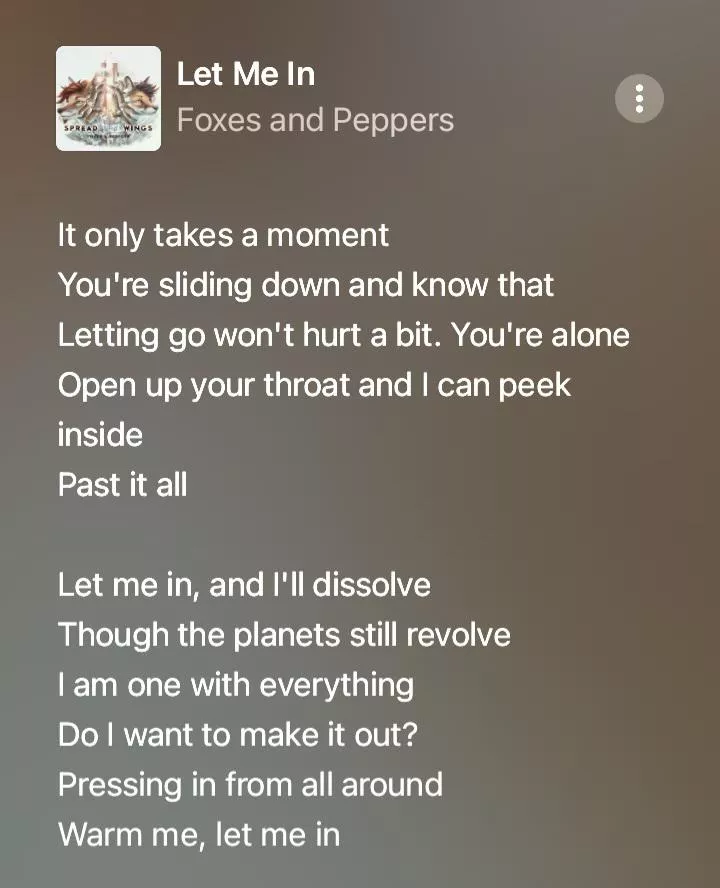 {image} I've never heard anyone talk about this song. (Let Me In by Foxes and Peppers)