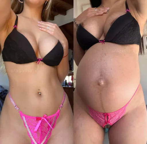 Pregnant vs not pregnant... which one is more fuckable?