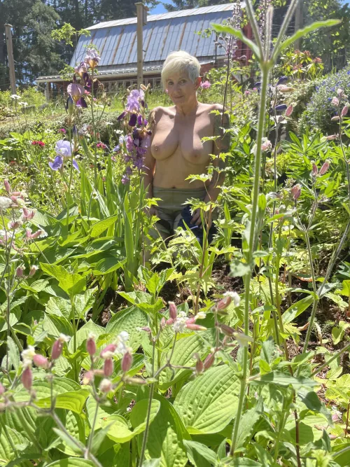 So many beautiful things. 