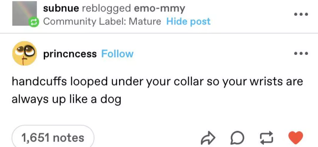 Such a good puppy π