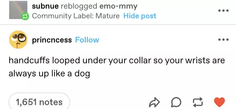 Such a good puppy 💓