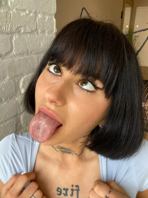 This kitty is incredibly hungry