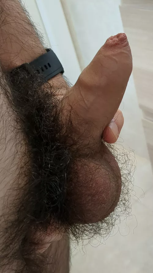 Are my 23yo balls big and hairy enough for you?